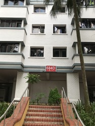 Blk 684D Choa Chu Kang Crescent (Choa Chu Kang), HDB 5 Rooms #309387061